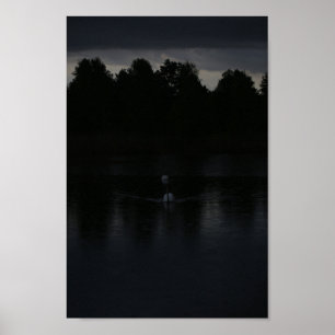 Sunset Lake Rain Swans Nature Landscape Poster
