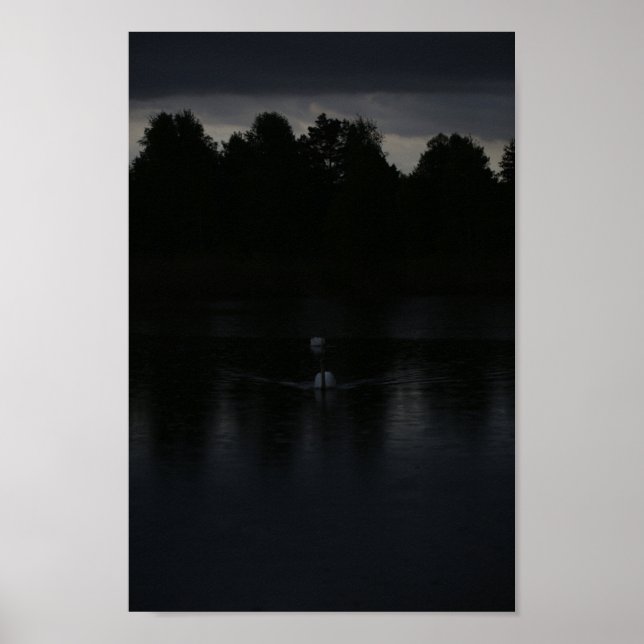 Sunset Lake Rain Swans Nature Landscape Poster (Front)