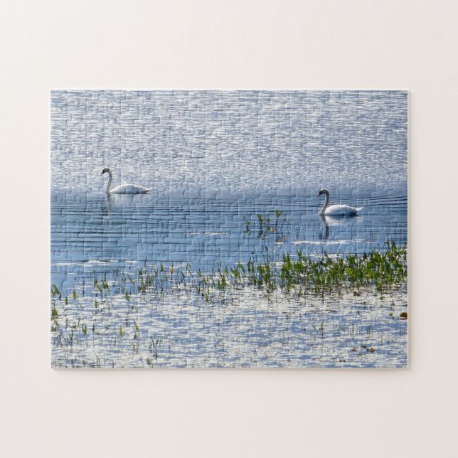 Sunset Lake Swan Puzzle (Horizontal)
