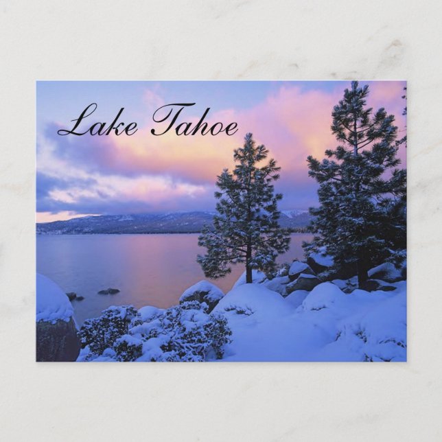 Sunset Lake Tahoe Nevada  Postcard (Front)