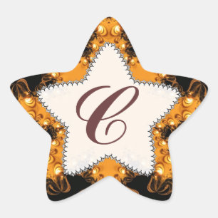 Sunset Lights Monogram Earth Star Sticker