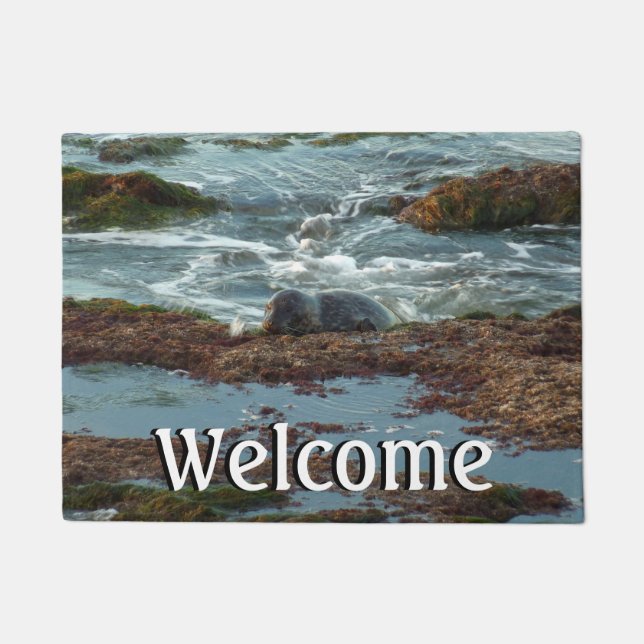 Sunset Lit Harbour Seal I at San Diego Doormat (Front)