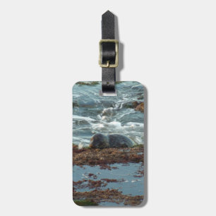 Sunset Lit Harbour Seal I at San Diego Luggage Tag