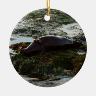 Sunset Lit Harbour Seal II at San Diego Ceramic Tree Decoration