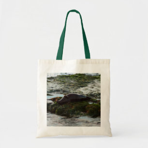 Sunset Lit Harbour Seal II at San Diego Tote Bag