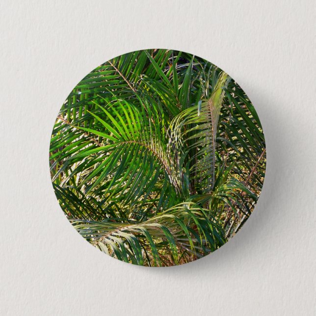 Sunset Lit Palm Fronds Tropical 6 Cm Round Badge (Front)