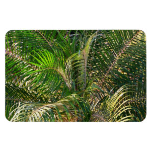 Sunset Lit Palm Fronds Tropical Magnet