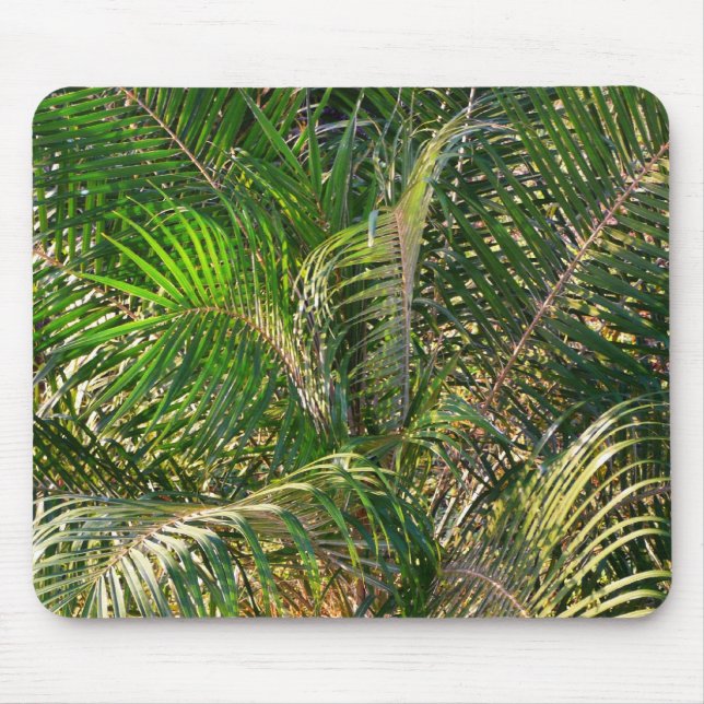 Sunset Lit Palm Fronds Tropical Mouse Mat (Front)