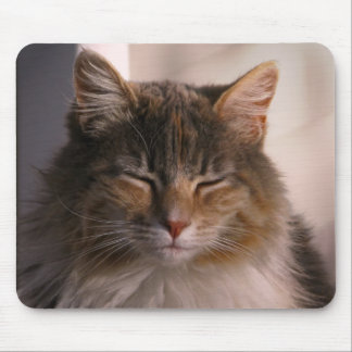 Sunset Medtiation Mouse Mat
