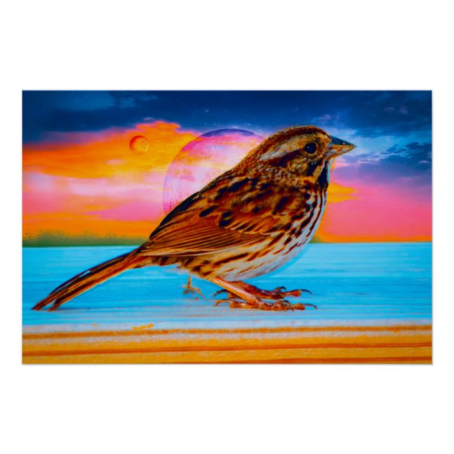 Sunset Melody Poster (Front)