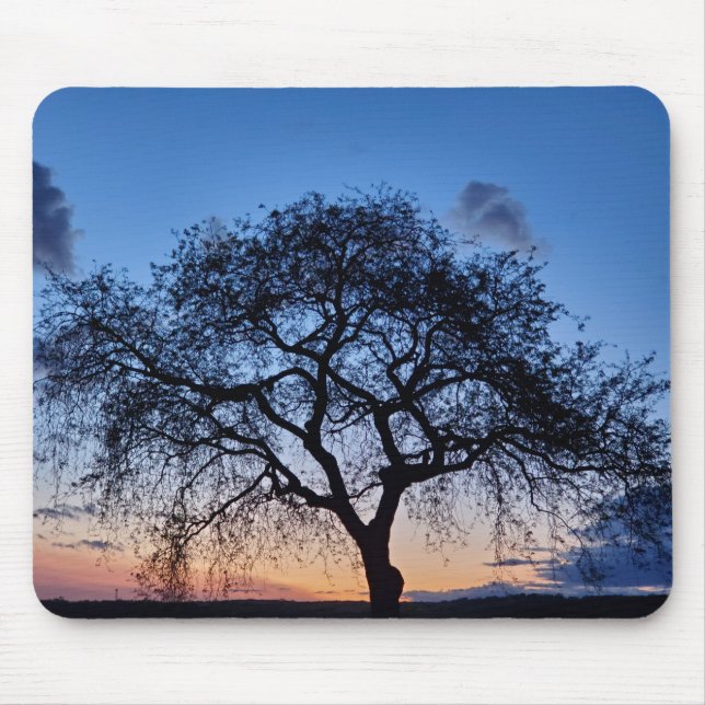 Sunset Mouse Mat (Front)
