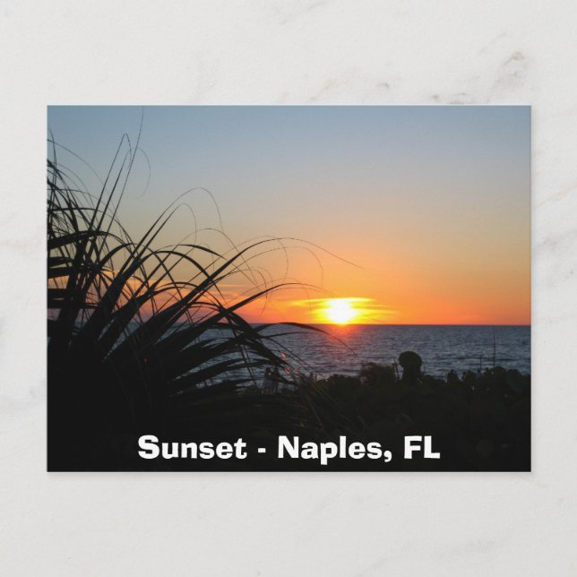 Sunset - Naples, FL Postcard (Front)