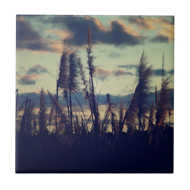 Sunset Nature Tile (Front)
