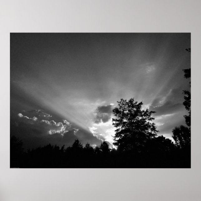 Sunset / Noir, Poster (Front)