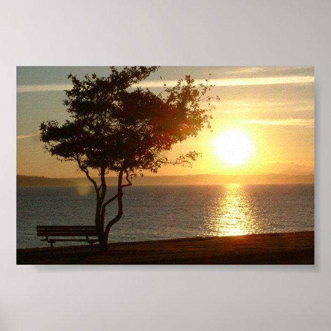 Sunset on Beach Drive Poster (Front)