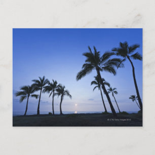 Sunset on Kahaluu Bay in Kona,Hawaii Postcard