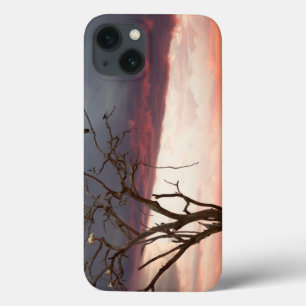 Sunset On Kandheri Swamp With African Spoonbills iPhone 13 Case