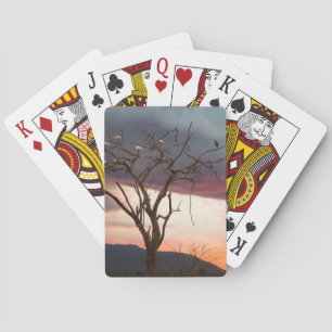 Sunset On Kandheri Swamp With African Spoonbills Playing Cards