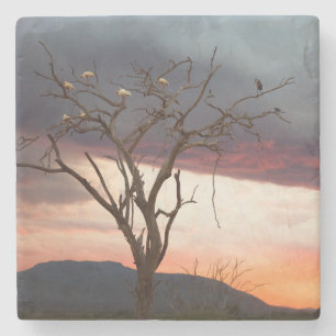 Sunset On Kandheri Swamp With African Spoonbills Stone Coaster