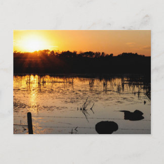 Sunset On Pond Postcard