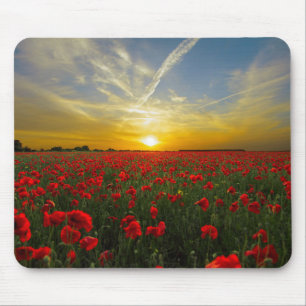 Sunset on Poppyfield - HAMbyWhiteGlove Mouse Mat