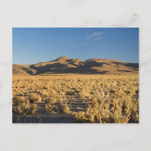 Sunset on the Altiplano of Argentina Postcard