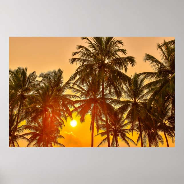 Sunset on the beach of Sri Lanka Poster (Front)