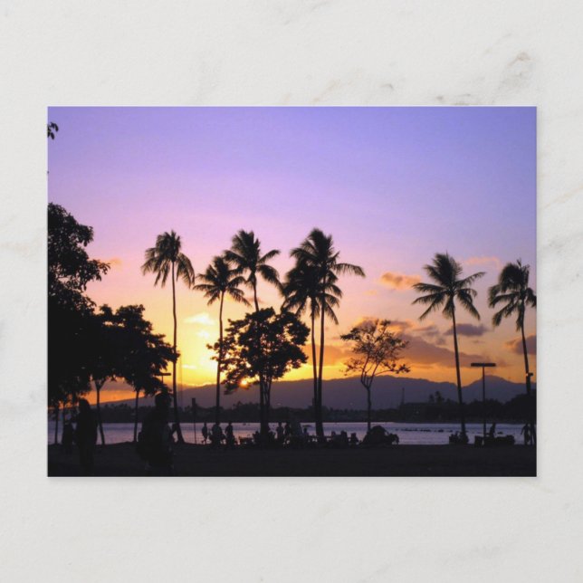 Sunset on the beach postcard (Front)