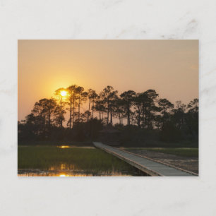 Sunset on the Carolina Coast Postcard