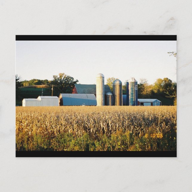 Sunset on the Farm Postcard (Front)