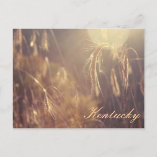 Sunset on the Mountain Postcard