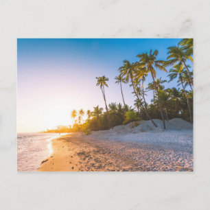 Sunset on Tropical Beach   Dominican Republic Postcard