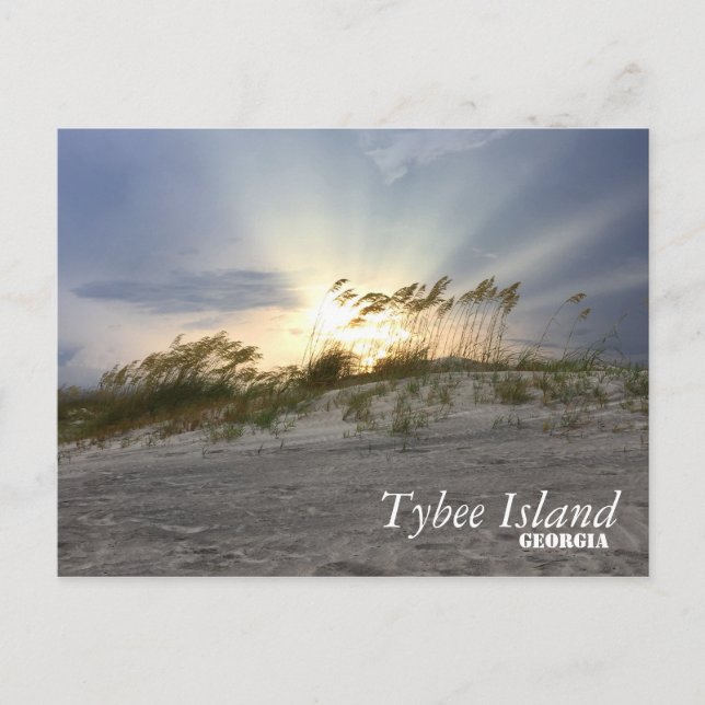 Sunset on Tybee Island, Georgia Postcard (Front)