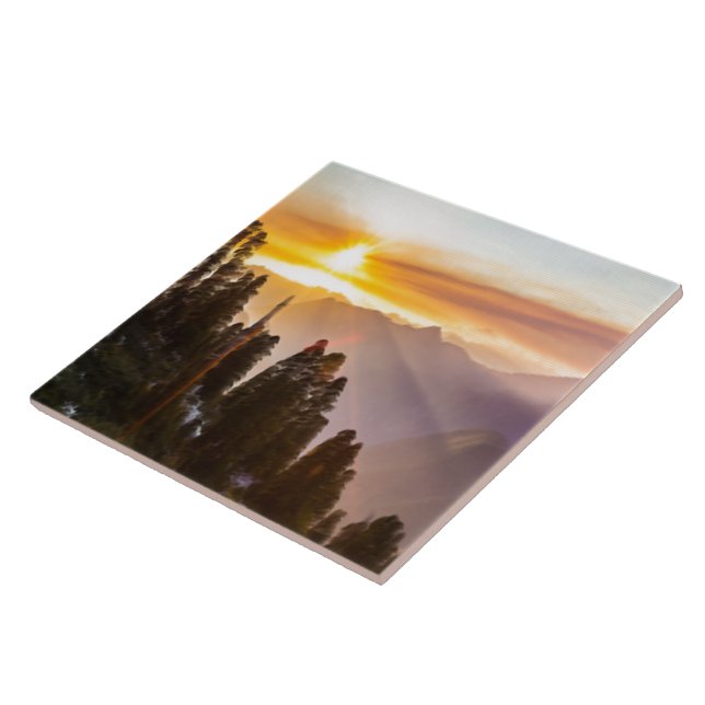 Sunset over forest tile (Side)