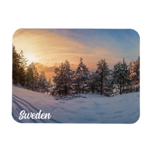 Sunset over frozen snowy forest near magnet