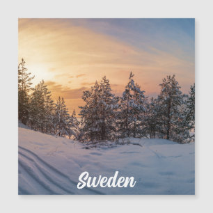 Sunset over frozen snowy forest near magnet
