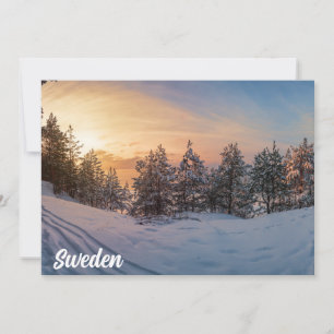 Sunset over frozen snowy forest near sea