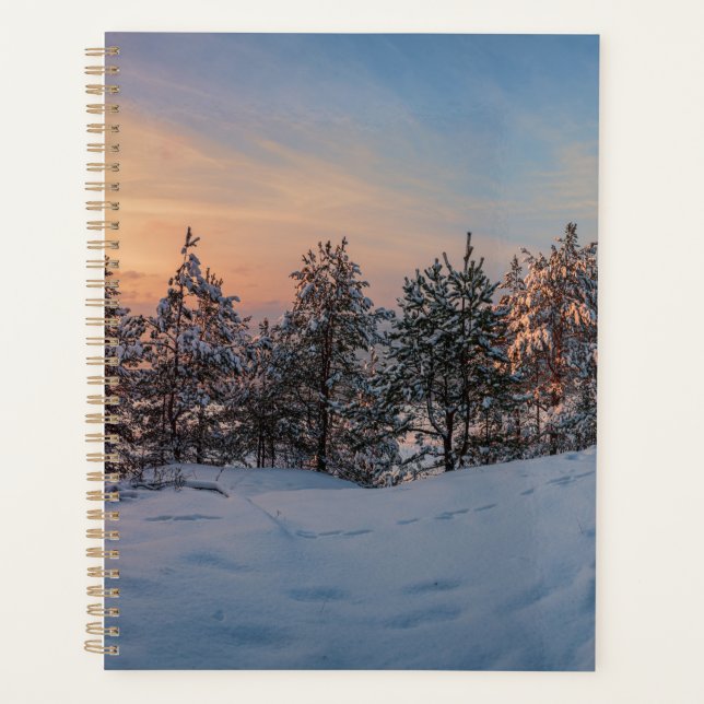 Sunset over frozen snowy forest near sea planner (Front)