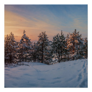 Sunset over frozen snowy forest near sea poster