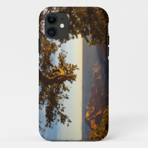 Sunset over Grand Canyon iPhone 11 Case