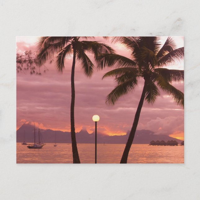 Sunset over Moorea from Sofitel Maeva Beach Postcard (Front)