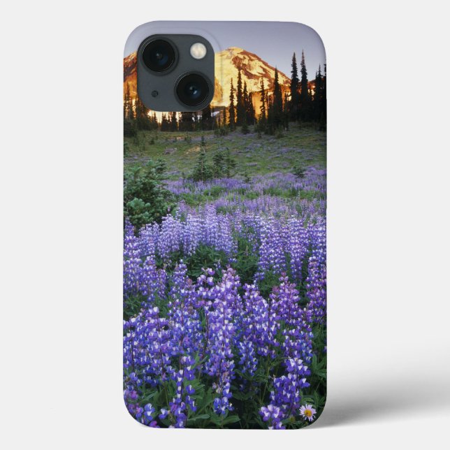 Sunset over Mt. Adams and a sub-alpine meadow Case-Mate iPhone Case (Back)