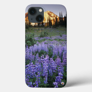 Sunset over Mt. Adams and a sub-alpine meadow iPhone 13 Case