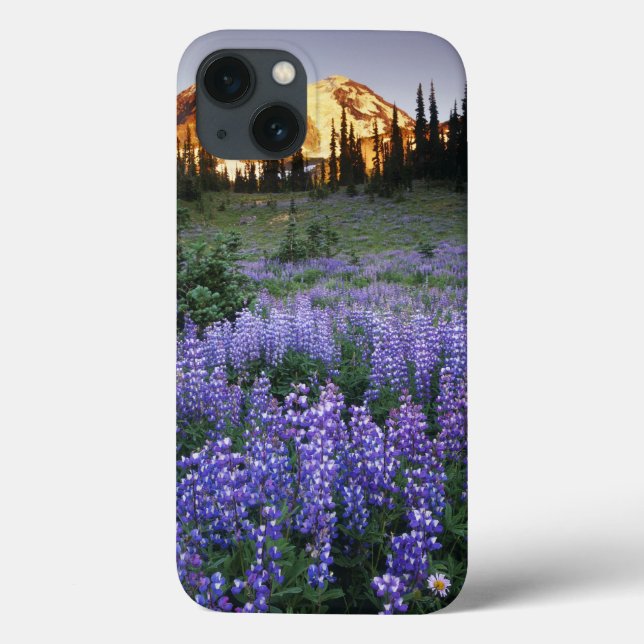 Sunset over Mt. Adams and a sub-alpine meadow Case-Mate iPhone Case (Back)