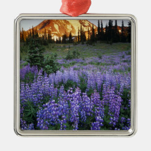 Sunset over Mt. Adams and a sub-alpine meadow Metal Tree Decoration