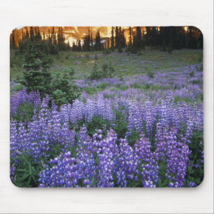 Sunset over Mt. Adams and a sub-alpine meadow Mouse Mat