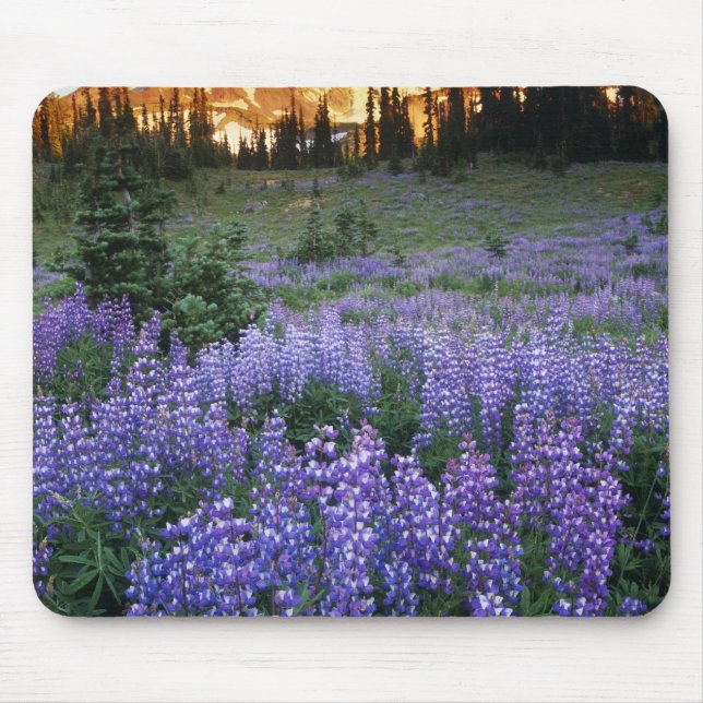 Sunset over Mt. Adams and a sub-alpine meadow Mouse Mat (Front)