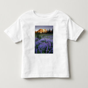 Sunset over Mt. Adams and a sub-alpine meadow Toddler T-Shirt