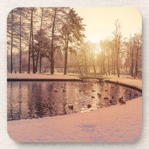 Sunset over park with small frosty lake coaster