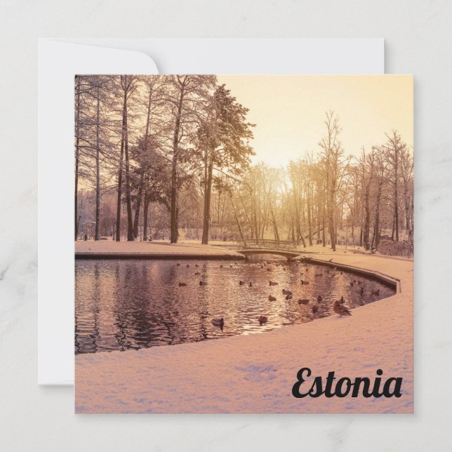 Sunset over park with small frosty lake postcard (Front)